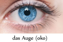 das_auge.jpg