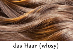 das_haar.jpg