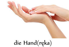 die_hand.jpg