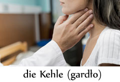 die_kehle.jpg