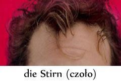 die_stirn.jpg