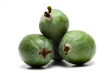 feijoa