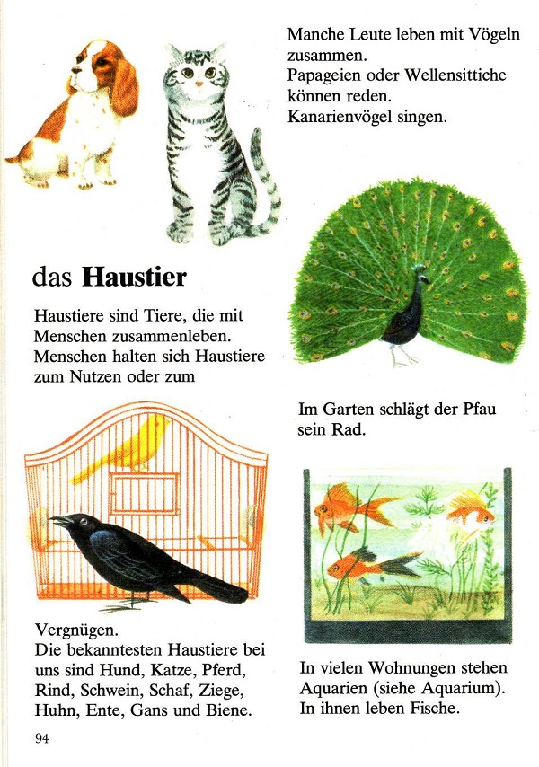 das Haustier