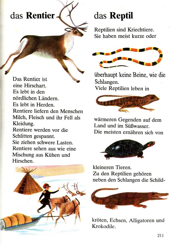 das Reptil