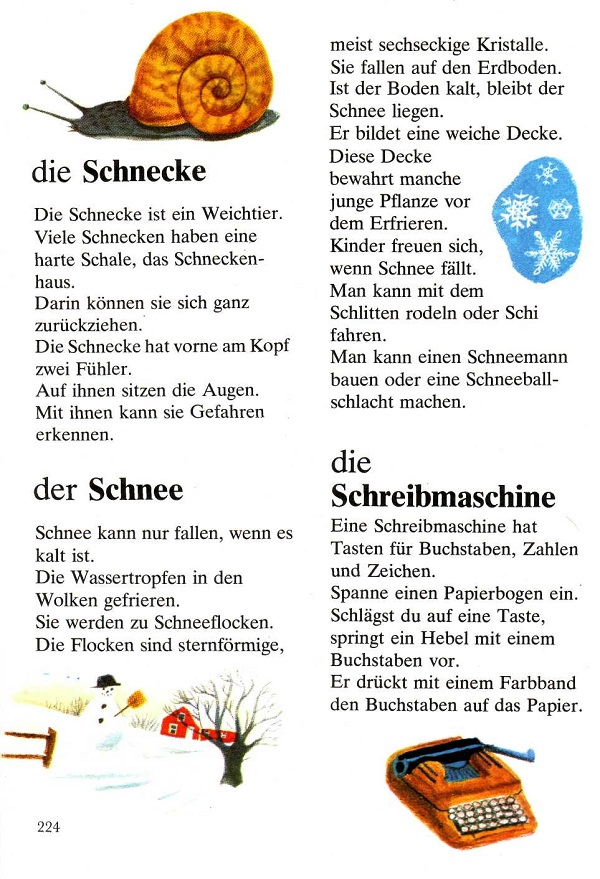 die Schnecke