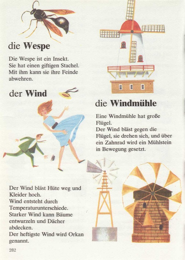 die Wespe